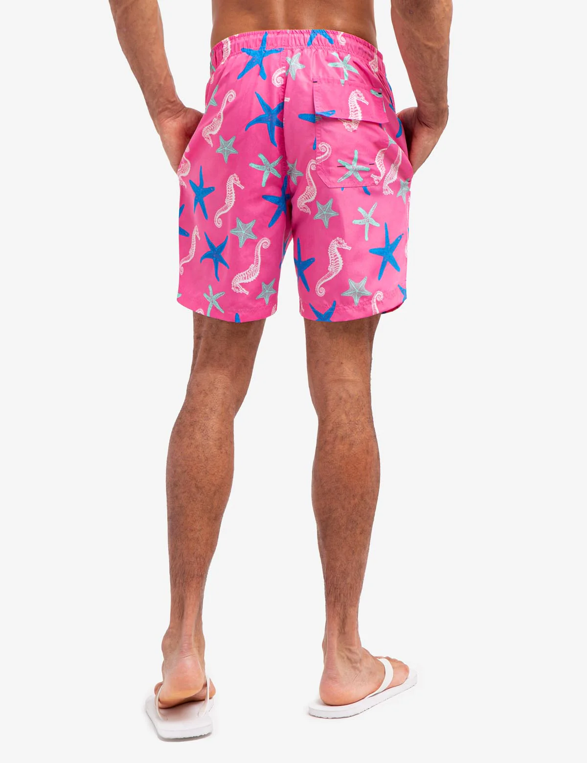 7" SEAHORSE AND STARFISH PRINT SWIM TRUNKS - Image 14