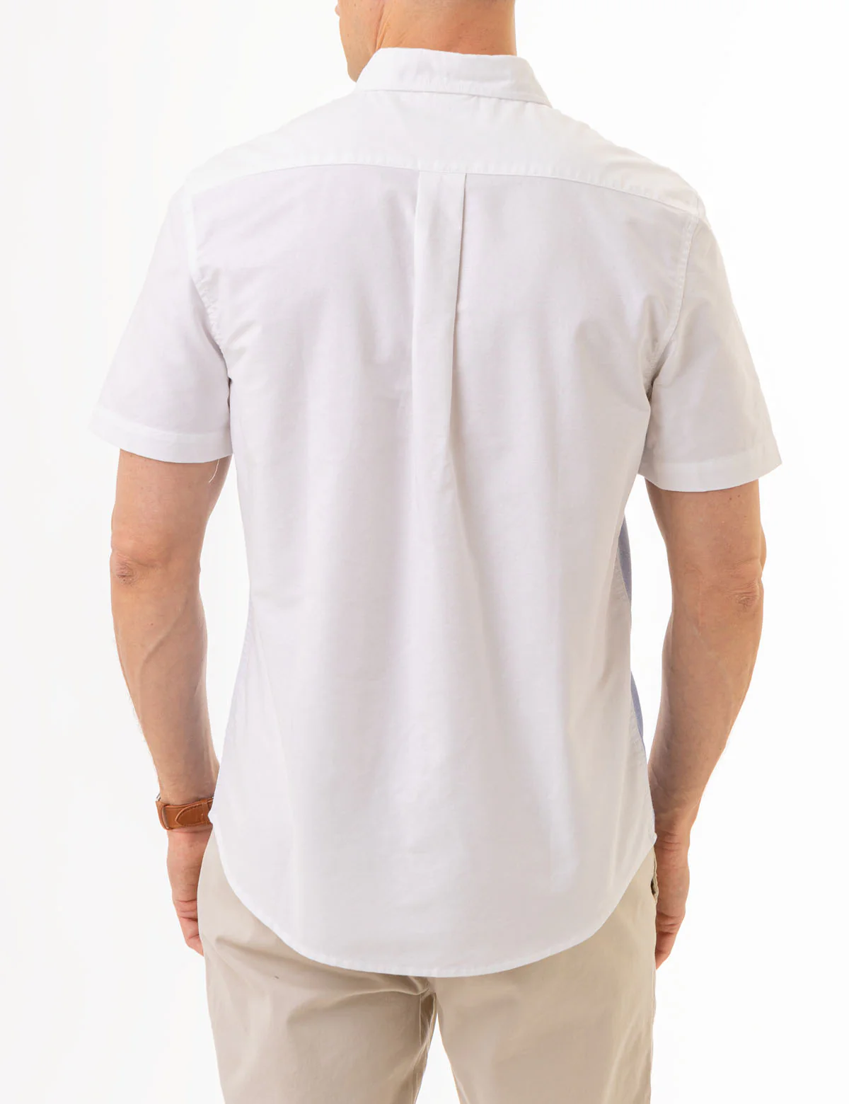 CHEST STRIPE SHORT SLEEVE OXFORD SHIRT - Image 4