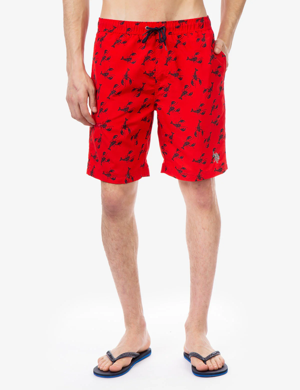 LOBSTER PRINT SWIM TRUNKS - Image 5
