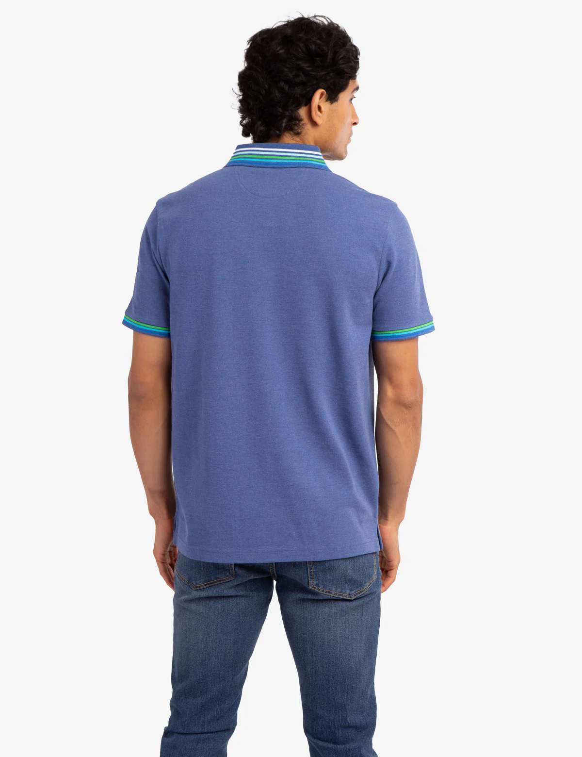 MULTI STRIPED RIB PIQUE POLO SHIRT - Image 4
