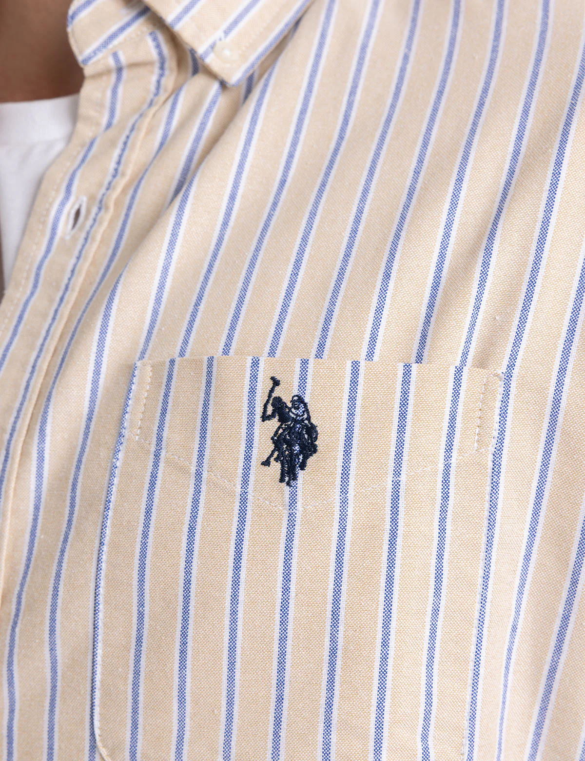 VERTICAL STRIPE YARN DYE OXFORD SHIRT - Image 9